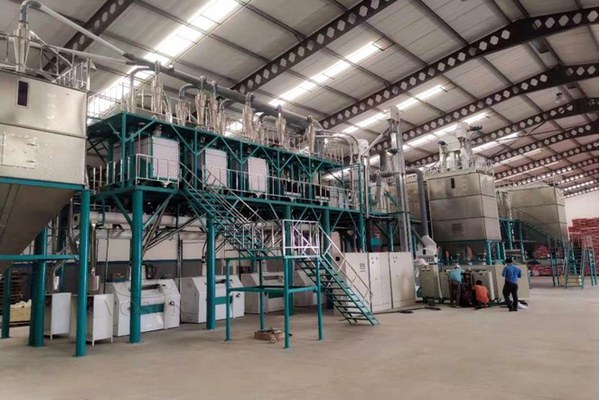 100t steel structure milling plant -1