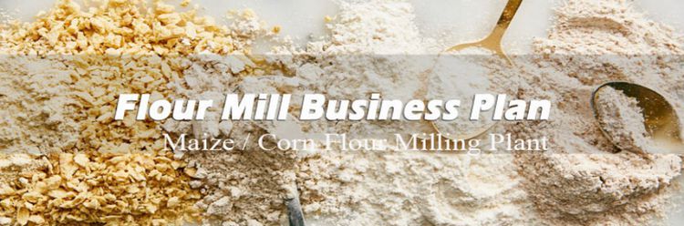 maize milling business plan