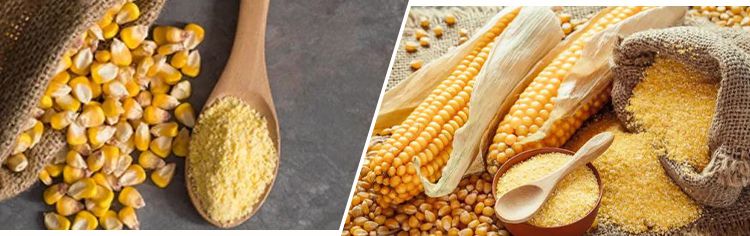 maize and milled maize flour